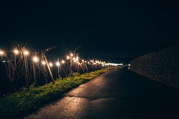 Wine lights Enjoy - Throughout 5 kilometres, the beautiful Moselle wine landscape between Wormeldange in Luxembourg