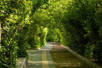 Fototapeta premium Views of the Gurgaon eco path