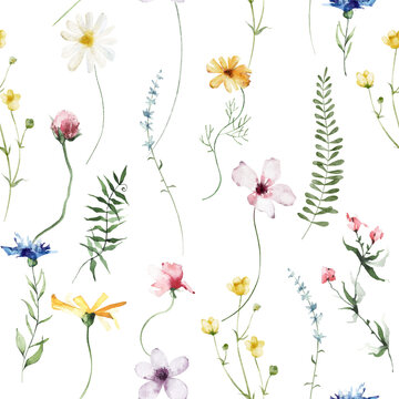 Watercolor floral seamless pattern. Yellow chamomiles, blue cornflowers, violet, pink wild flowers. Cut out hand drawn PNG illustration on transparent background. Watercolour isolated clipart drawing.