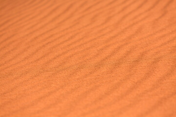 Gold orange desert sand texture background