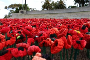 Poppies laid in front of the State War Memorial, Kings Park, Perth.