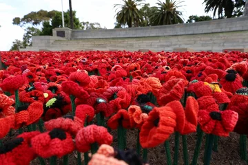 Foto op Plexiglas Historisch monument Poppies laid in front of the State War Memorial, Kings Park, Perth.