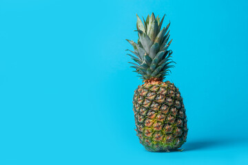 Whole pineapple on bright blue background, copy space. Summer concept. Diet food concept. Vegetarian food. Antioxidants
