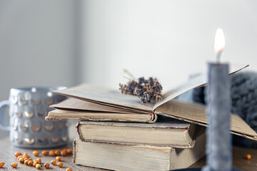 Cozy home composition with a stack of books on a blurred background.