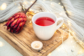 Cozy composition with a cup of red tea and an exotic flower in bed.
