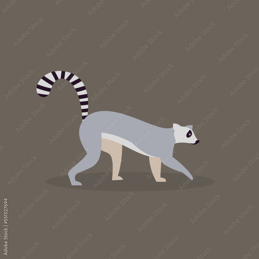 Wall mural Lemur walks on four legs, side view