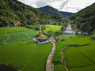 Aerial view of wooden bridge as walk way to white pagoda and Buddha statue among paddy field,...
