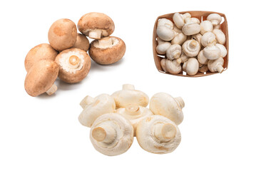 Tasty mushroom isolated on white background.