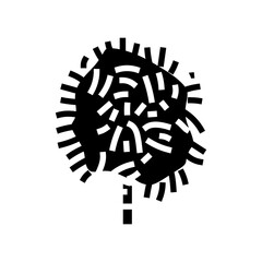 cabbage palm tree glyph icon vector. cabbage palm tree sign. isolated symbol illustration