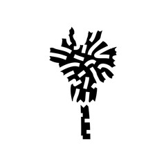 mexican fan palm tree glyph icon vector. mexican fan palm tree sign. isolated symbol illustration