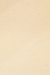 Brown natural canvas vertical paper texture