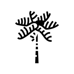 royal palm tree glyph icon vector. royal palm tree sign. isolated symbol illustration