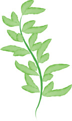 A hand-drawn branch of oleander with leaves