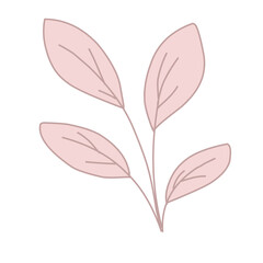 Pink leaf ornament decorations for wedding invitation 