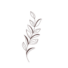 Leaf sketch 