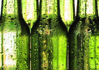 Green beer bottles on ice cubes