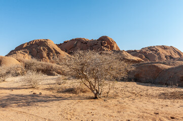Landscape shot of the Namibian desert near Spitzkoppe, around sunset.