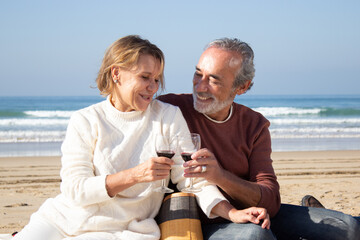 Happy senior couple having picnic at seashore on sunny afternoon. Middle-aged blonde woman and bearded gray-haired man sitting close, clinking glasses of wine and smiling. Mature love, romance concept