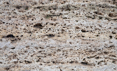 shell stone texture for background