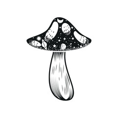mushroom mystical icon