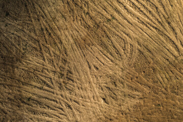 Drone top down view of cut stumps and tire tracks