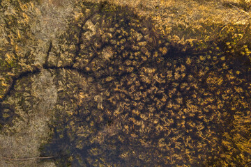 Drone view of flooded meadow slowly turning to swampland