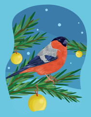 Merry Christmas bullfinch, postcard. Christmas fir branch, Christmas wishes card with bullfinches, December 25 greeting card and Christmas bird
