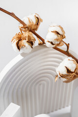 White props for product photography on white seamless background - half-circles, oval doors, rippled arch, zig-zag stairs and a branch of cotton with buds