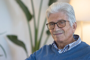Happy senior man looking at camera while sitting in living room. Front view of cheerful mature businessman in eyeglasses posing for camera and smiling. Emotion, retirement concept