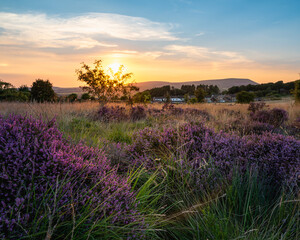 Naklejka premium Harle Syke Sunset
