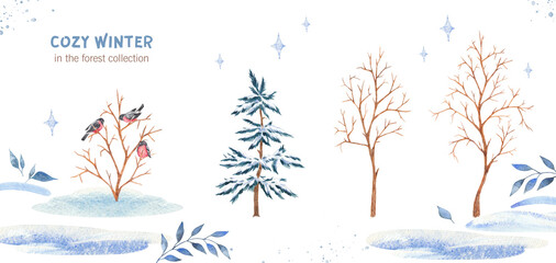 A set of watercolors of winter trees, a Christmas tree, a bush with bullfinches. For children's room, wallpaper, wall decor, stickers