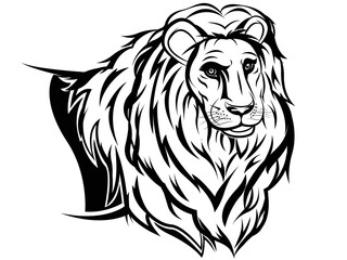 Lion face. Lion head, Sketchy, graphical Vintage style