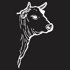 Cow head vector illustration, black background


