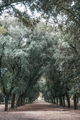 Fototapeta premium Rome. Italy. 07.12.2022 Villa Borghese