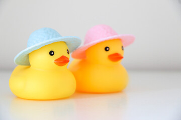 A couple of his and hers yellow rubber ducks in love, wearing light blue and pink summer hats. Love and romance concept.