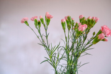 Fototapeta na wymiar bouquet of pink carnations in a vase top view across the white wall and the wooden drawer. Copy space. Home decor