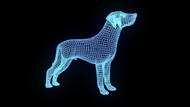 Dog wireframe. Computer generated 3d render