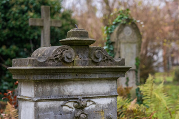 Obraz premium old grave yard haunted and decaying