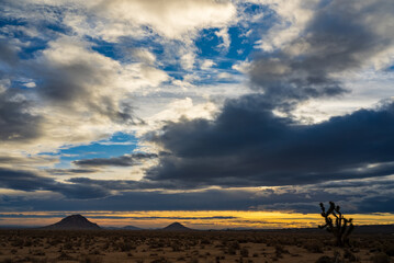  A Sunrise Serenade Over the Vast Mojave Desert