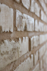 Bricks and ancient wall