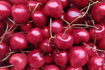 Background Color of the year 2023 viva magenta. Trendy colors concept, mockup with copy space