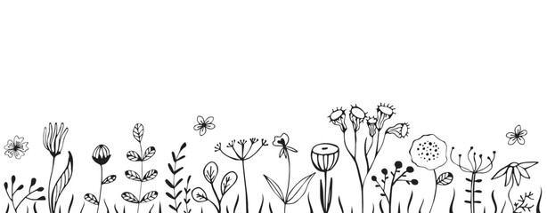 Black silhouettes of grass, flowers and herbs. Meadow with flowers, petals and herbs white background. Vector