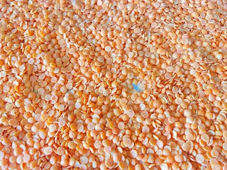 texture of a rice
