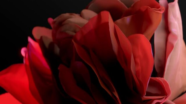 Layers of red fabric smoothly moving on a black background, resembling the shape of a flower, abstract futuristic animation of photorealistic textile, 3D rendering of flowing delicate silk, 4K