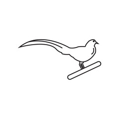 golden chinese pheasant icom