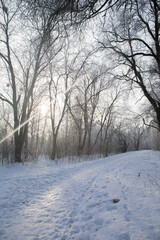 Fototapeta na wymiar A wonderful sunny frosty morning in winter
