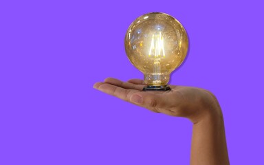 female hand holding light bulb