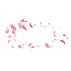 Pink Cherry Summer Vector White Background.