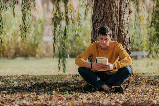 Happy man sitting under tree reading book