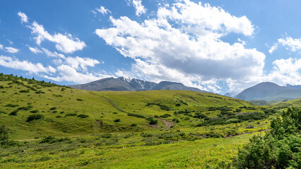 Fototapeta na wymiar panoramic view of the mountain plateau. beautiful green mountain hills and peaks